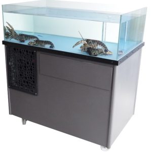 KINID 350 _ Detouré