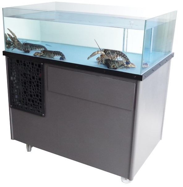KINID 350 lobster tank