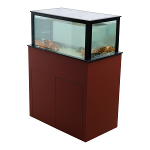 Kirium 250 détouré