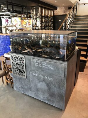 Vivier KINID 350 HORECA béton ciré gris