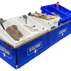 Présentoir bacs marée