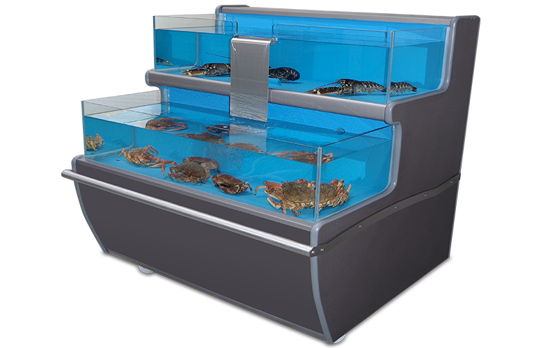 Vivier aquarium GRAND LARGE 600