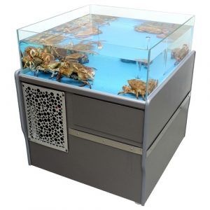 Vivier poissonnerie OCEMER