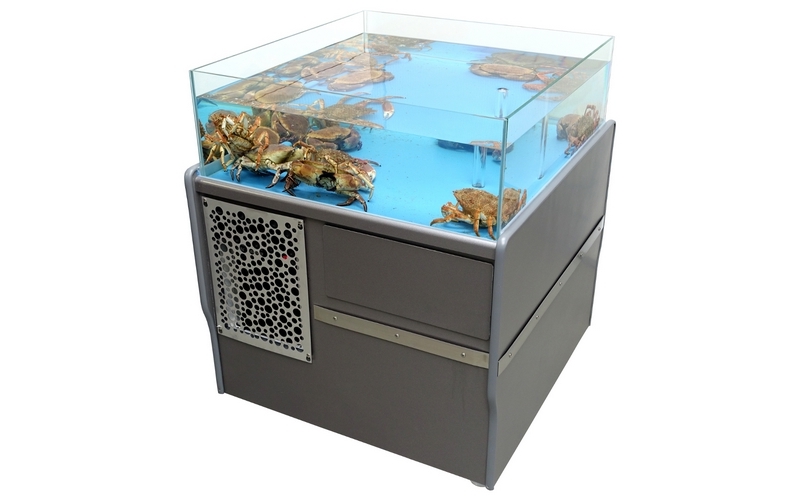 Vivier aquarium Oceanium 380